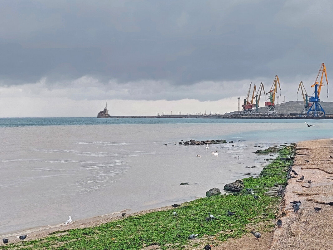 дикий пляж Феодосии - ИРЭН@ .