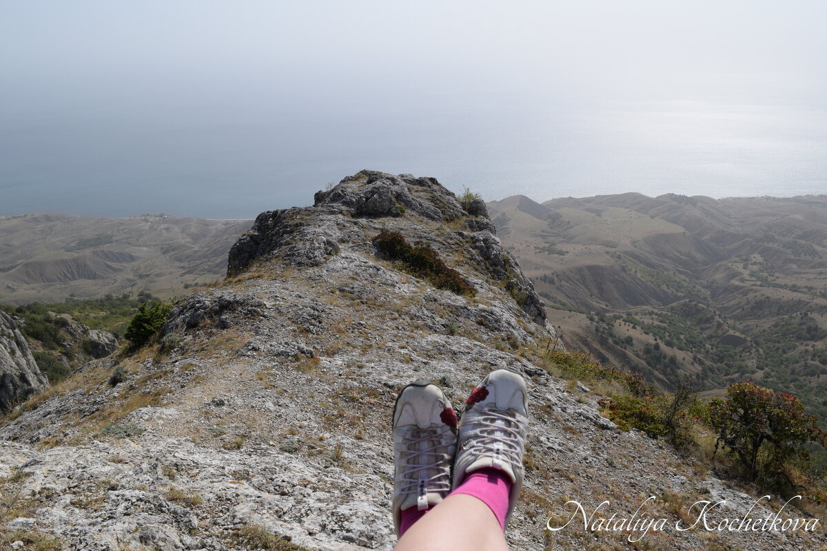 Природа Крыма - Amazing Cosmea