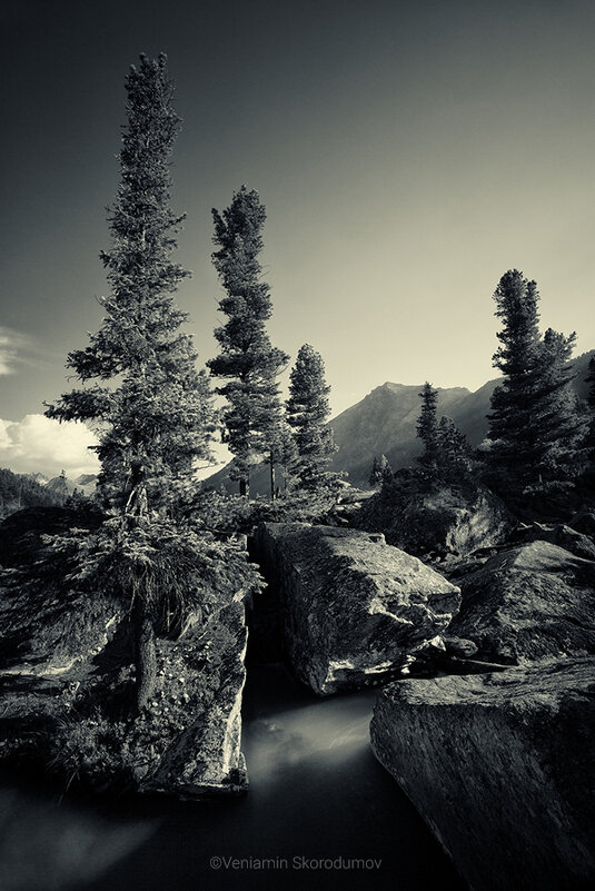 На Шумах - Вениамин Скородумов На Шумах - Вениамин Скородумов