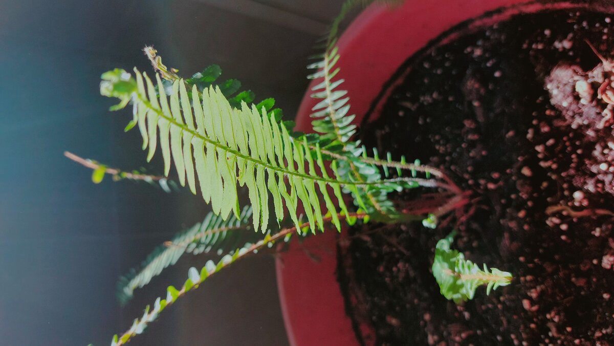 13  ОПЕН (49) - OPEN WAYS ALL