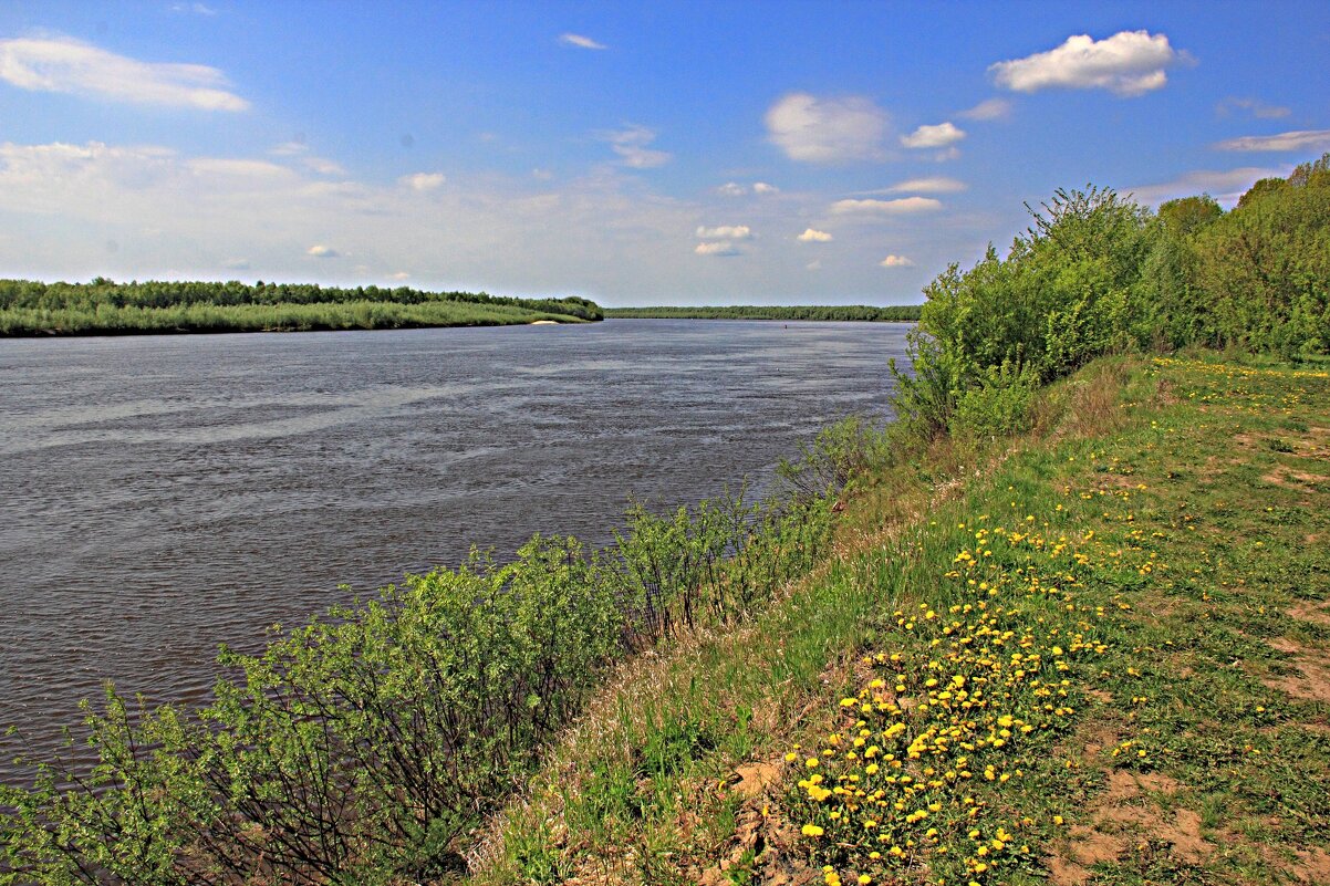 Река Ока - Евгений Корьевщиков Река Ока - Евгений Корьевщиков