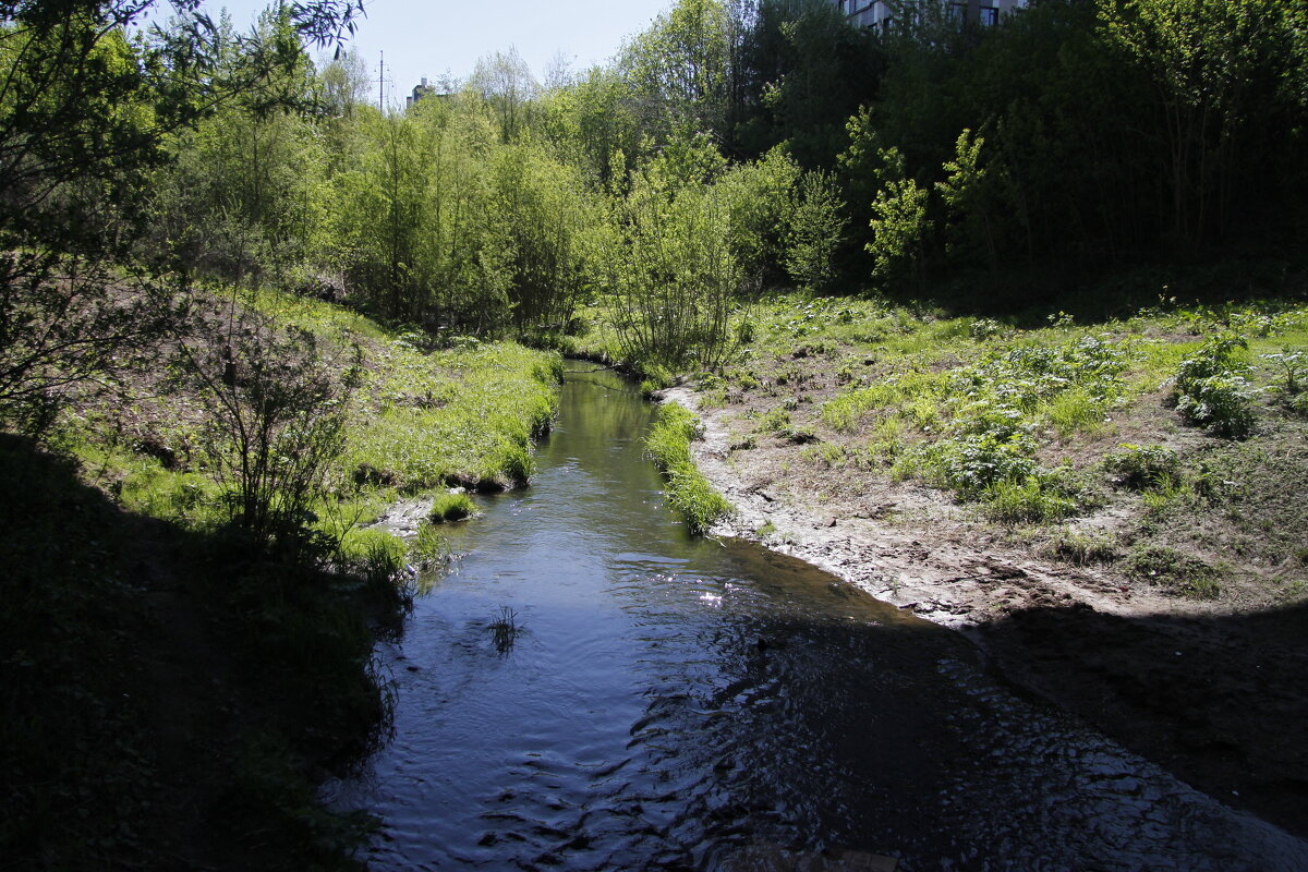 В долине реки Егошихи - Евгений Шафер В долине реки Егошихи - Евгений Шафер