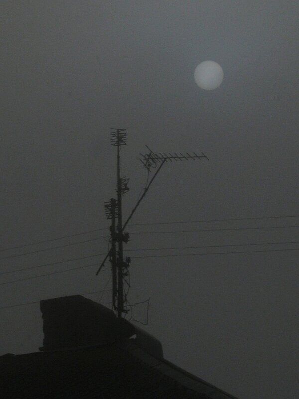 . - Александр Хоменко