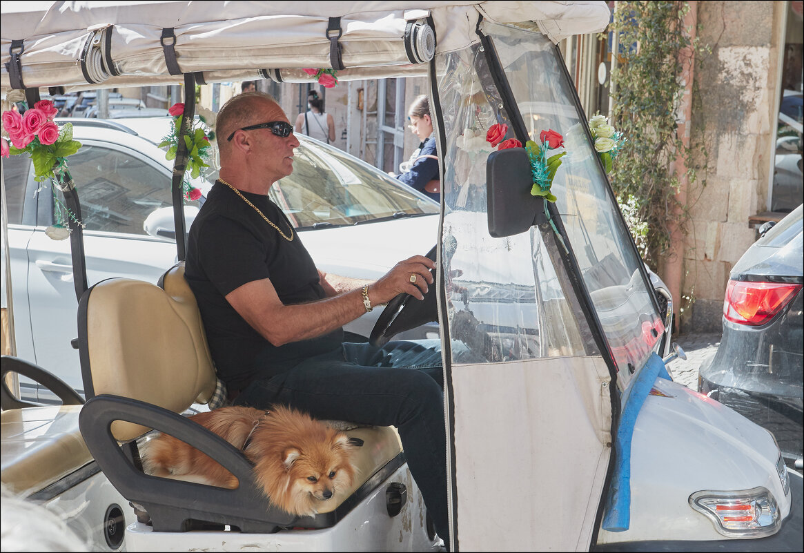 VIP-перевозки - Валерий Готлиб