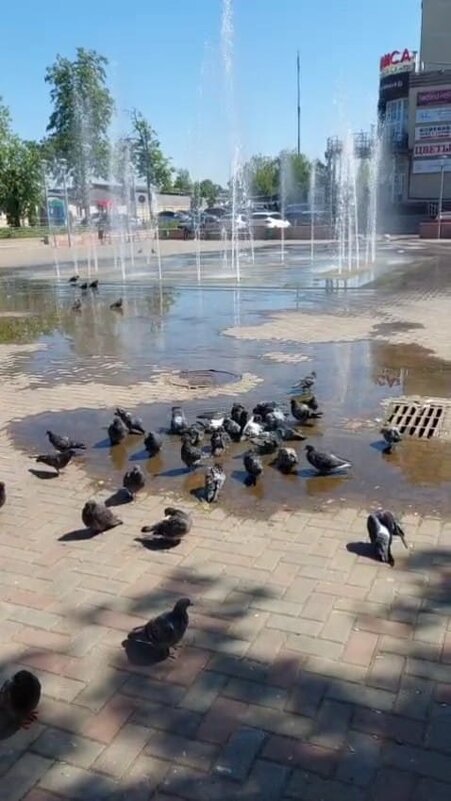 По-летнему тепло - Ирэн По-летнему тепло - Ирэн