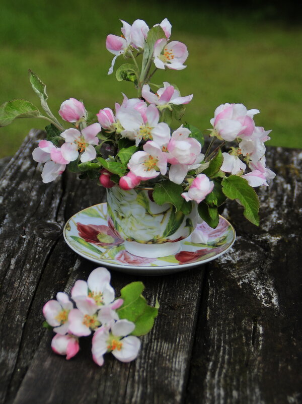 С веточками яблони.. - Татьян@ Ивановна С веточками яблони.. - Татьян@ Ивановна