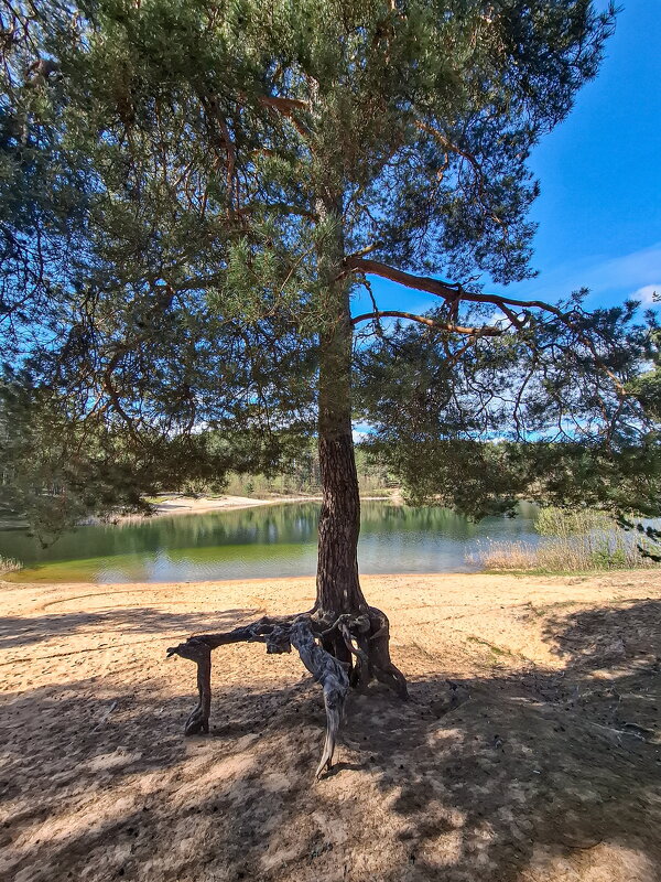 Весны прекрасные мгновения - Serega  