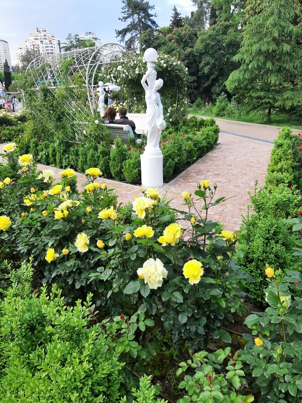 РИВЬЕРА - Tata Wolf