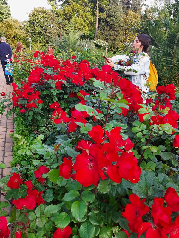 РИВЬЕРА - Tata Wolf РИВЬЕРА - Tata Wolf