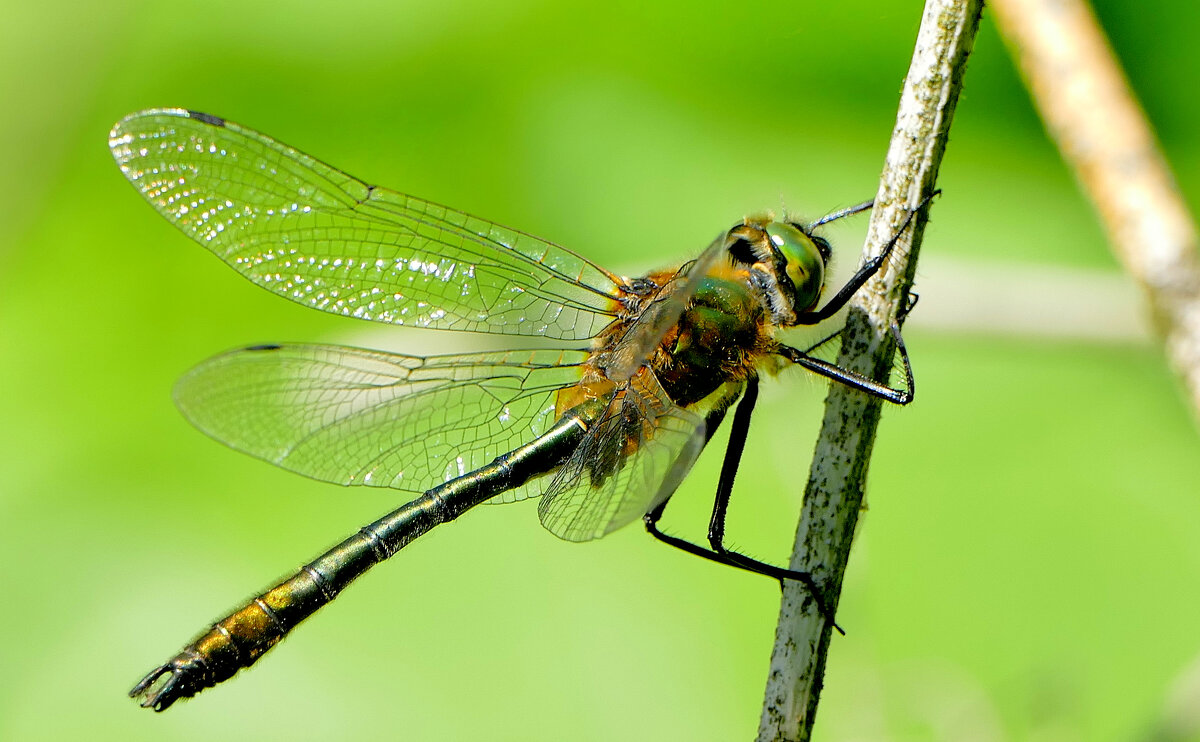 из позавчерашней съемки 4 - Александр Прокудин