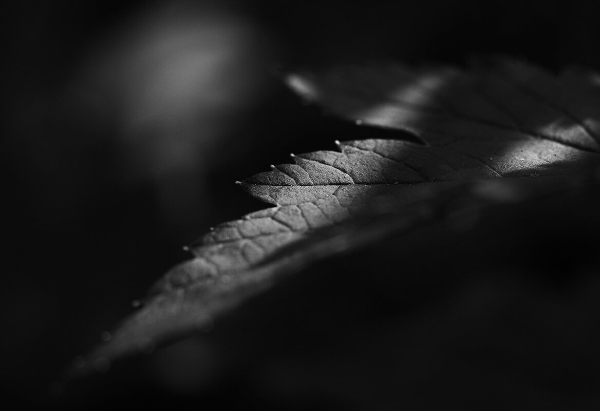 Луч света - Валерий Гришин