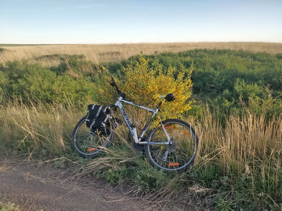 Цветёт акация в степи - Андрей Хлопонин Цветёт акация в степи - Андрей Хлопонин
