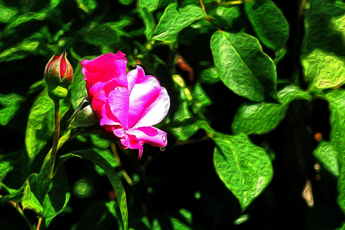 Красавица - Юрий Гайворонскiий Красавица - Юрий Гайворонскiий