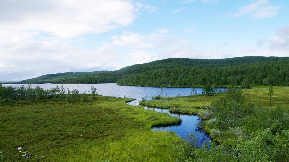 Ручей впадает в озеро - Сергей Швечков Ручей впадает в озеро - Сергей Швечков