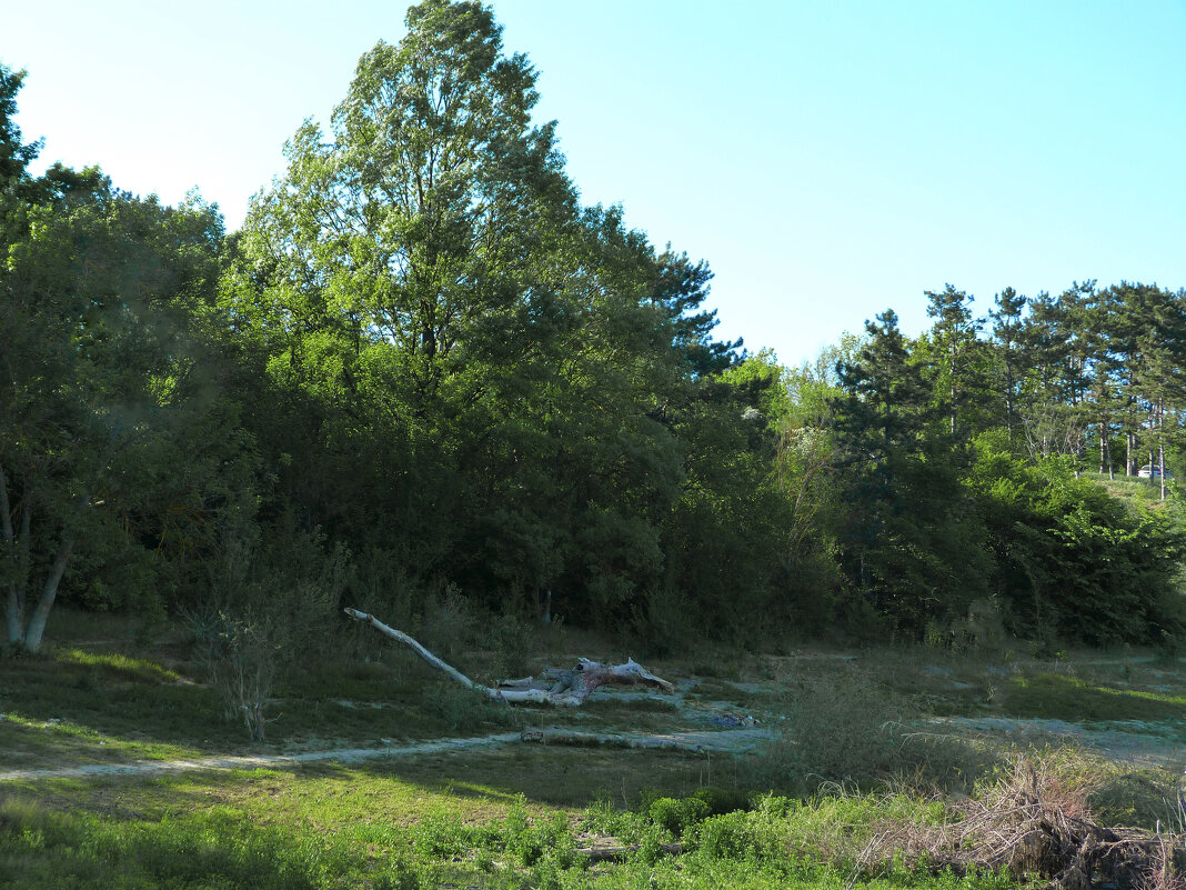 Природа  Крыма - Валентин Семчишин