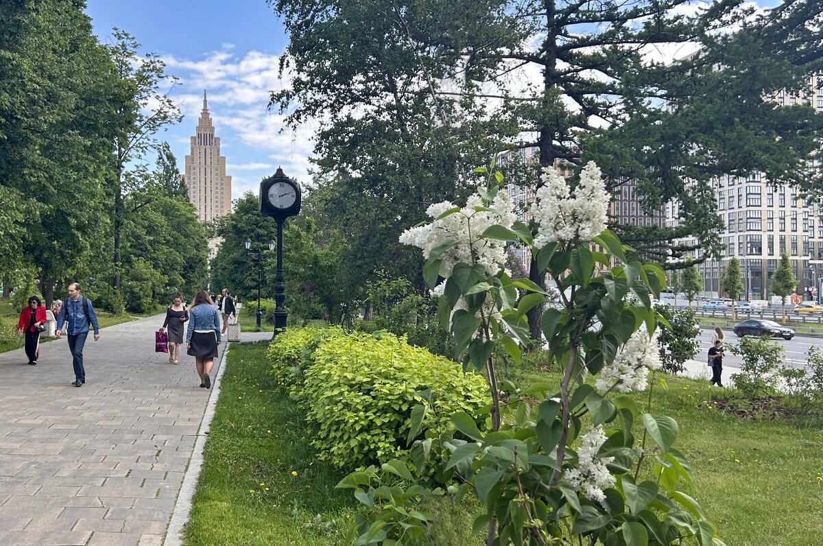 У Динамо - Oleg4618 Шутченко