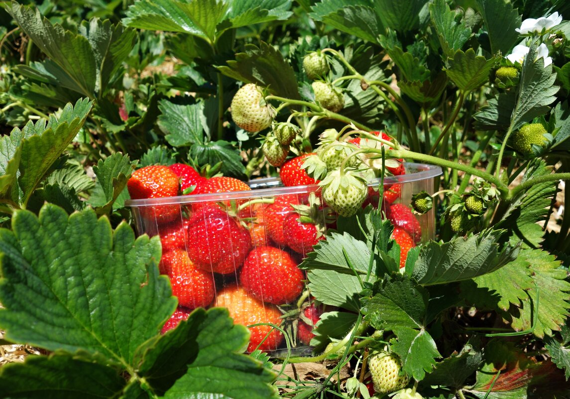 ... - Галина ... - Галина