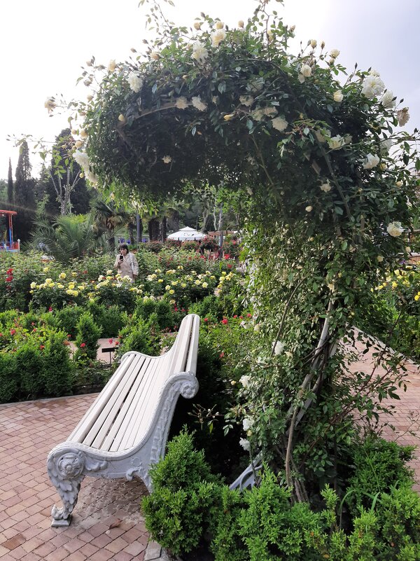 РИВЬЕРА - Tata Wolf