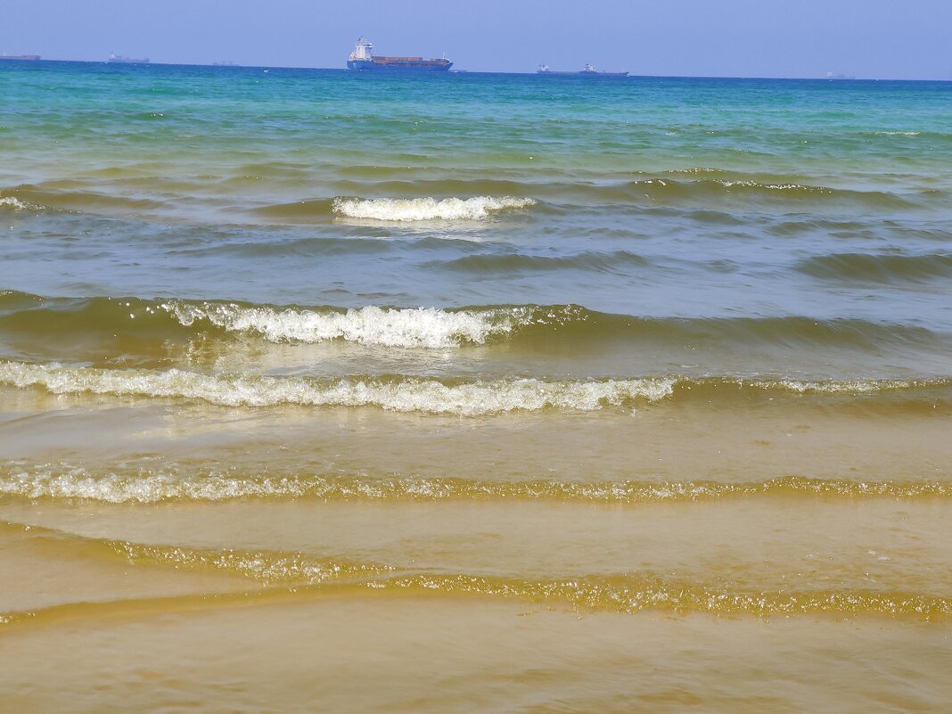 Какое красивое море - Светлана Хращевская Какое красивое море - Светлана Хращевская