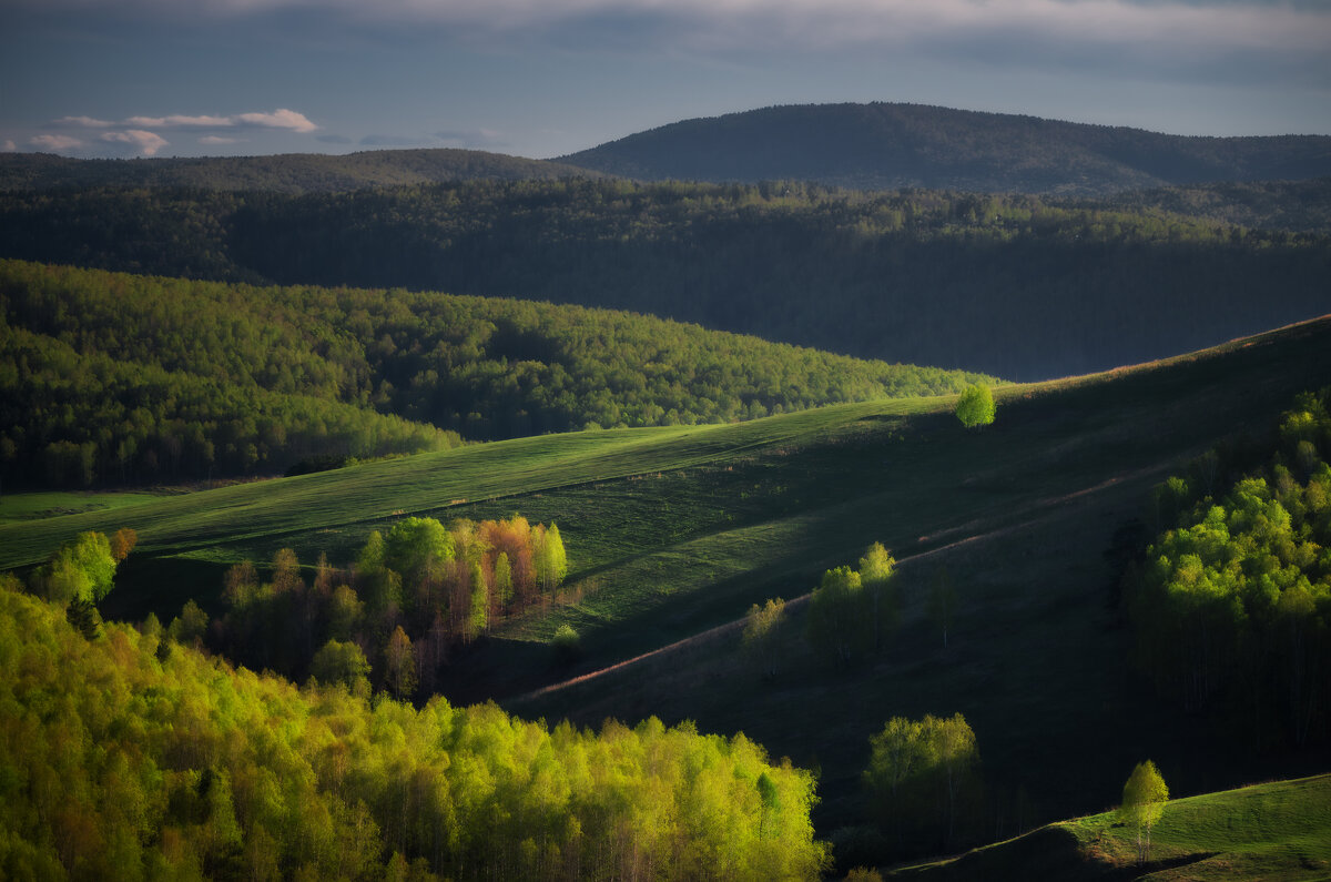 * - Александр Иванов * - Александр Иванов