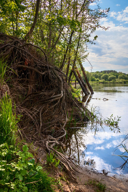 Хитросплетения природы - Игорь Чичиль Хитросплетения природы - Игорь Чичиль