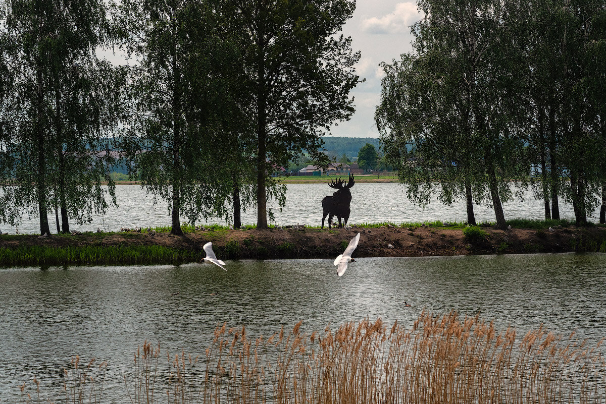 Пригородные пейзажи - Aliaksandr Panchanka