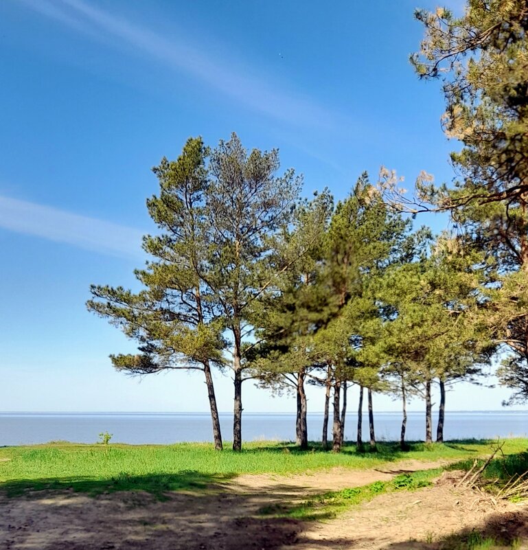 На берегу . - Мила Бовкун