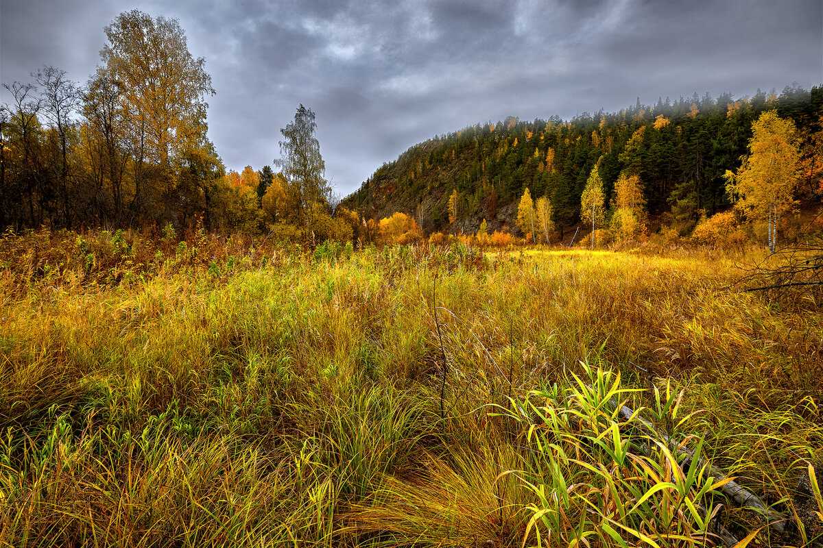 Вечер жёлтого сентября. - Юрий кот Вечер жёлтого сентября. - Юрий кот