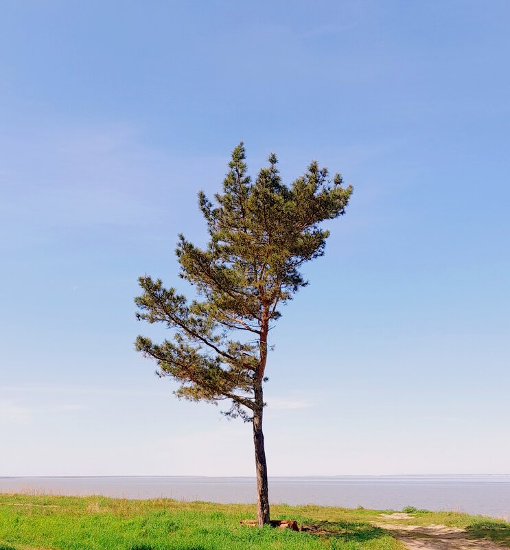 На семи ветрах . - Мила Бовкун