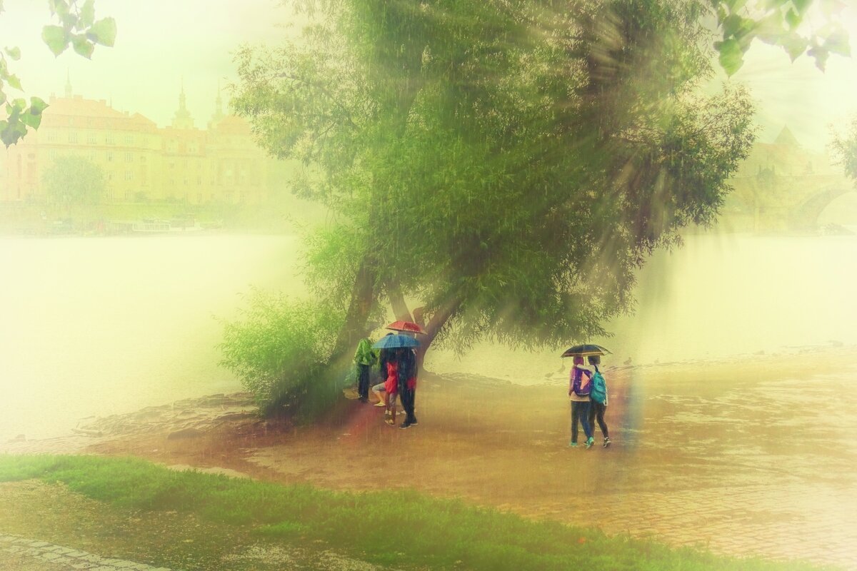 Под дождем на берегу реки Влтавы - Jiří Valiska