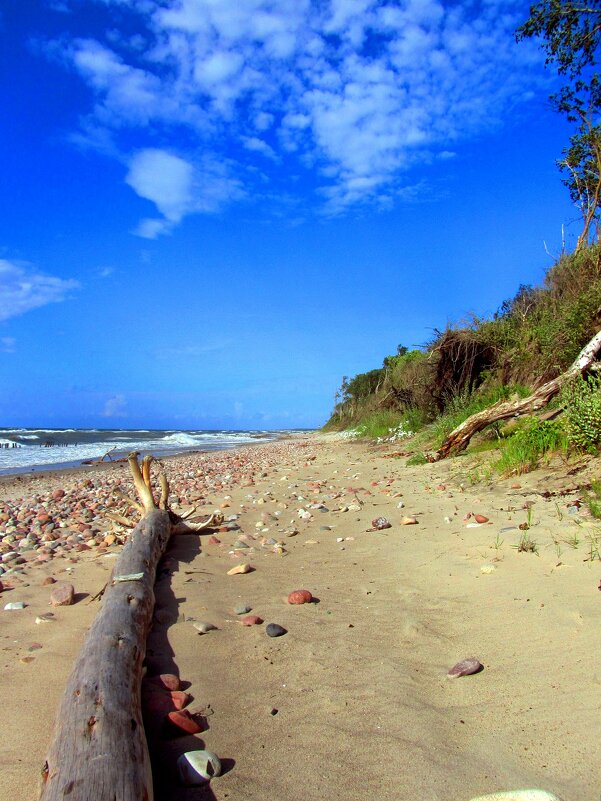 Камешки на берегу - Сергей Карачин Камешки на берегу - Сергей Карачин