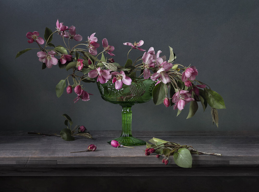 яблоневый цвет - Татьяна Попова яблоневый цвет - Татьяна Попова