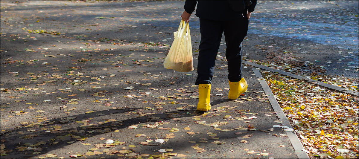 Ушёл - Александр Тарноградский