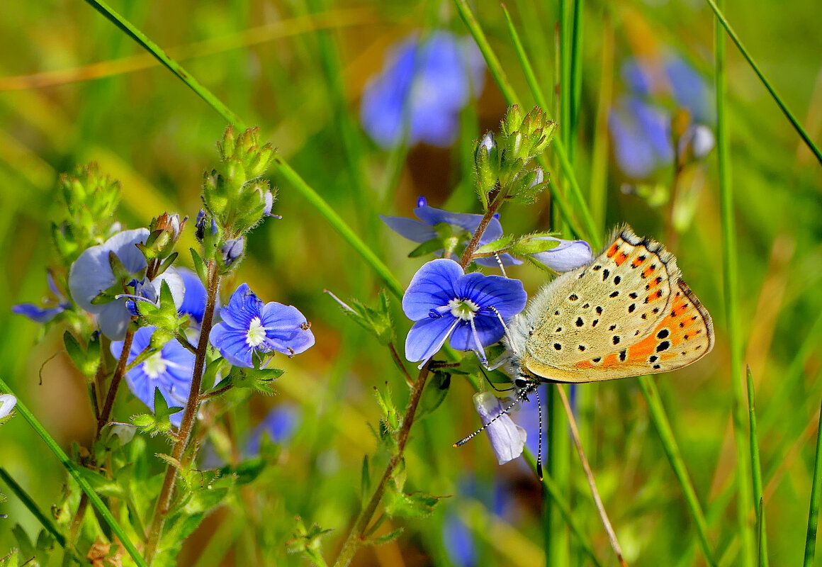 из сегодняшней съемки 3 - Александр Прокудин