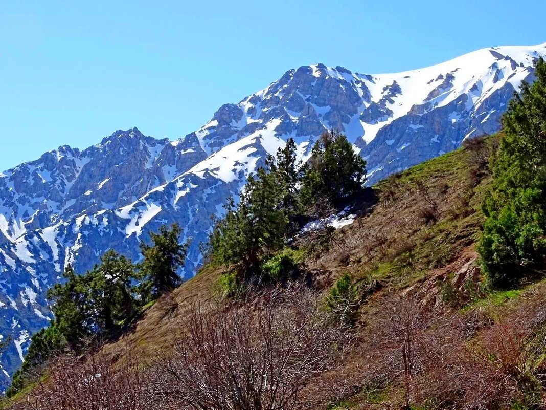 ПО ГОРАМ. - Виктор Осипчук
