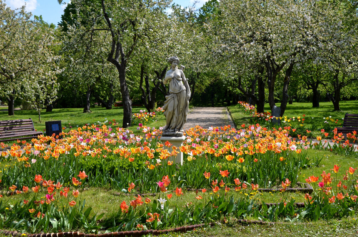 Москва. Парк Коломенское. - Наташа ***** Москва. Парк Коломенское. - Наташа *****