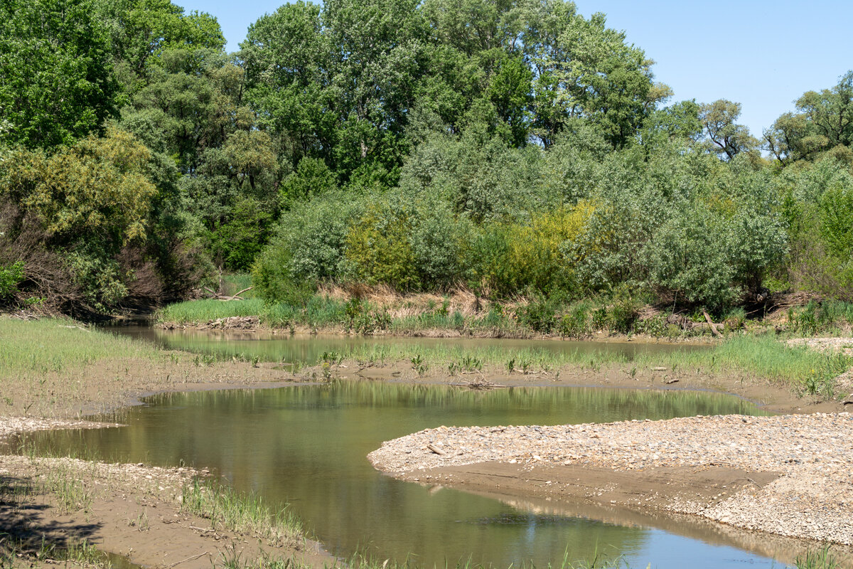 Прогулка по окрестностям - Игорь Сикорский Прогулка по окрестностям - Игорь Сикорский