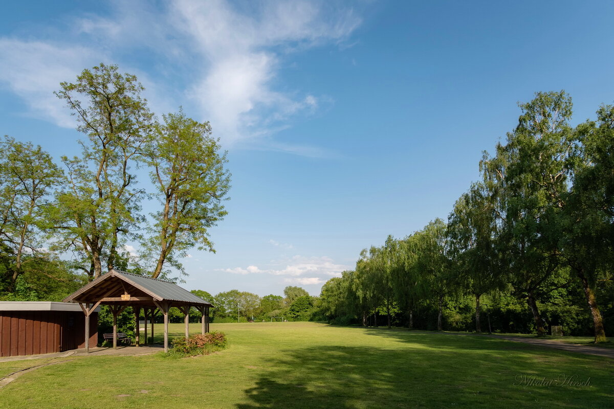 Вид на футбольное поле... - Николай Гирш Вид на футбольное поле... - Николай Гирш