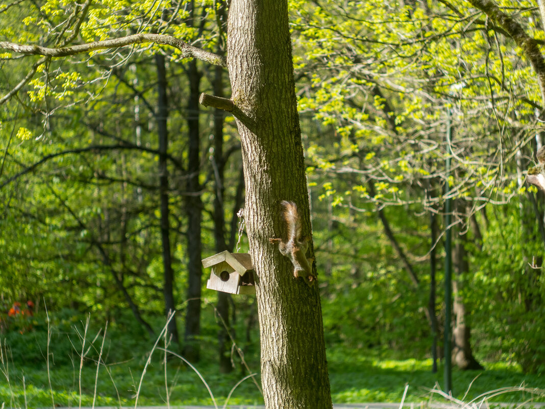 ___ - Yuriy V ___ - Yuriy V