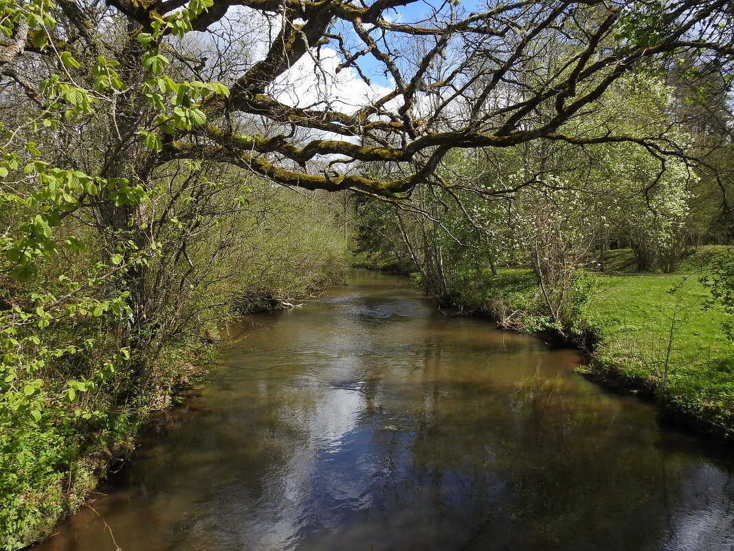 весна - ИННА ПОРОХОВА