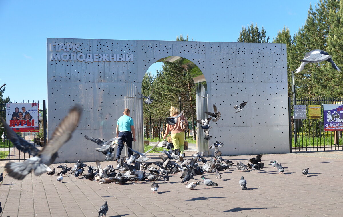 Столпотворение у входа в парк. - Андрей Катков