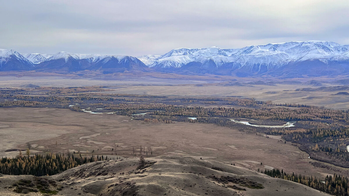 *** - владимир 