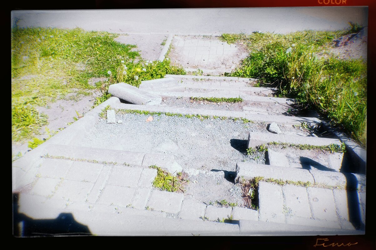 Расломоли почти всю. - Игорь Солдаткин