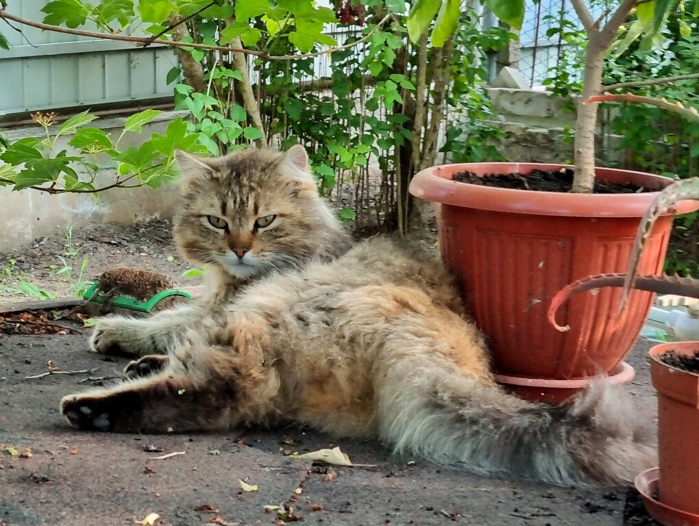 Послеполуденный отдых - Наталья 