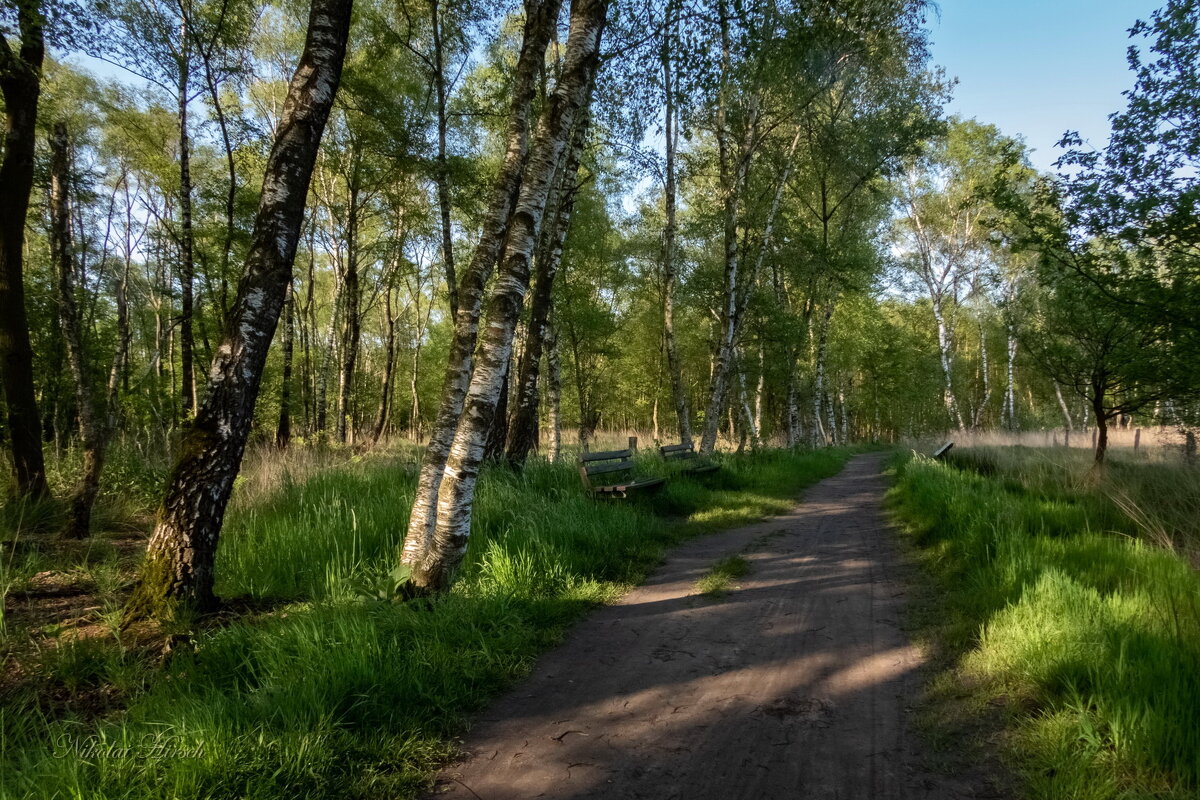 Снова и снова... - Николай Гирш Снова и снова... - Николай Гирш