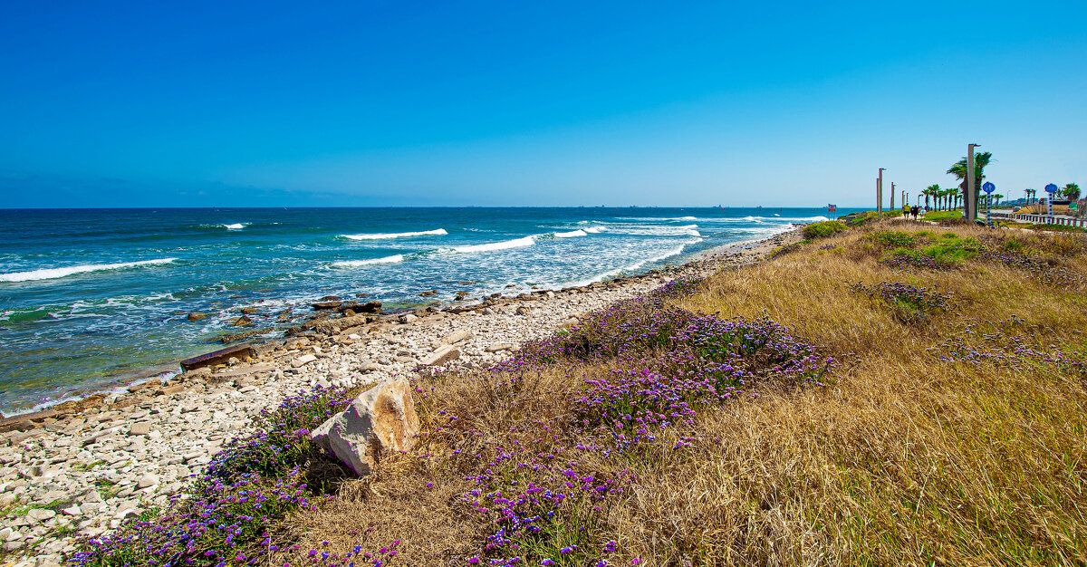 Хайфский берег - Эмиль 
