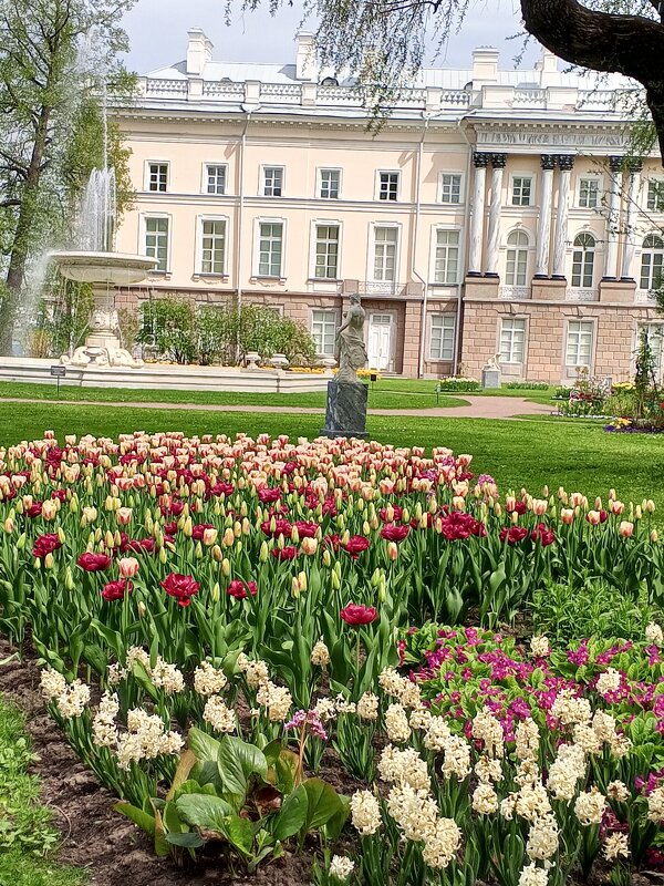 Весна - Сапсан 