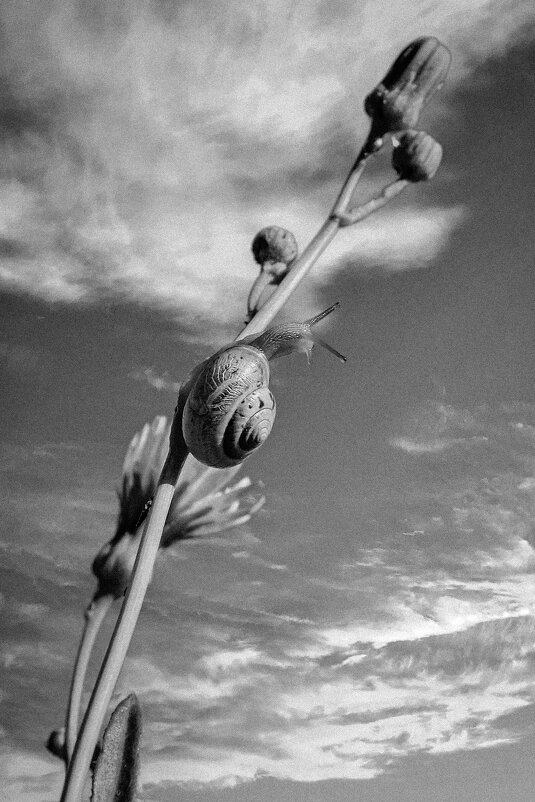 Мэри лезет в небеса ;-) - Алексей Пышненко Мэри лезет в небеса ;-) - Алексей Пышненко