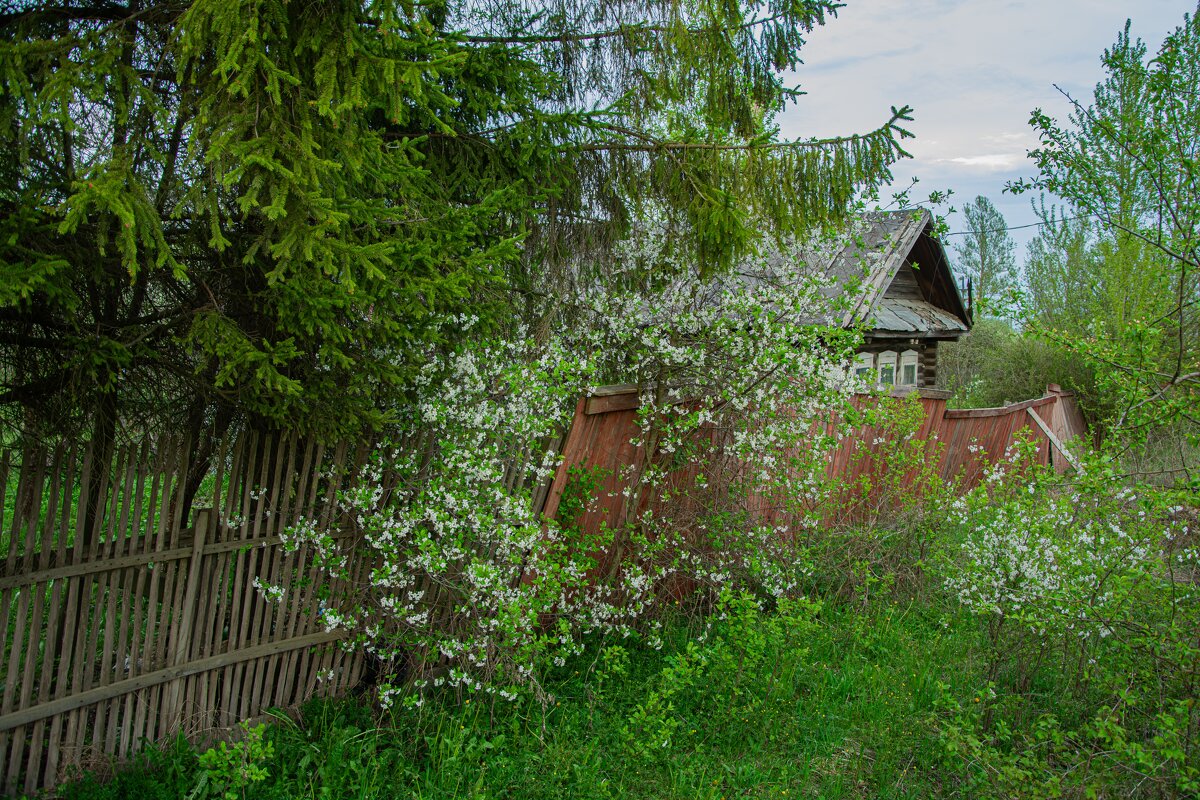 Провинциальные улочки - Александр Филатов