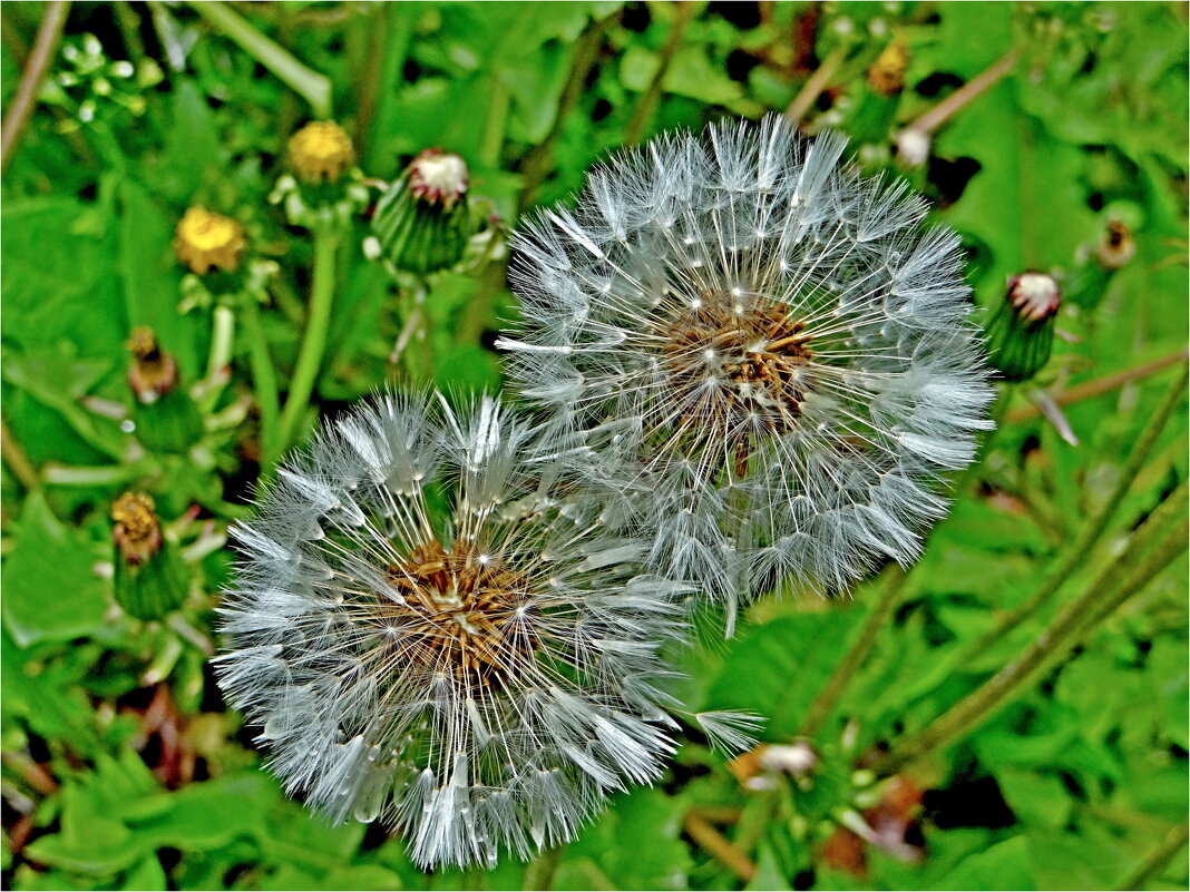 ЭТЮД - Юрий Владимирович 34 ЭТЮД - Юрий Владимирович 34